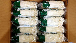 茶えのき茸レシピ | 農事組合法人 あさひ培養センター あさひ生産組合